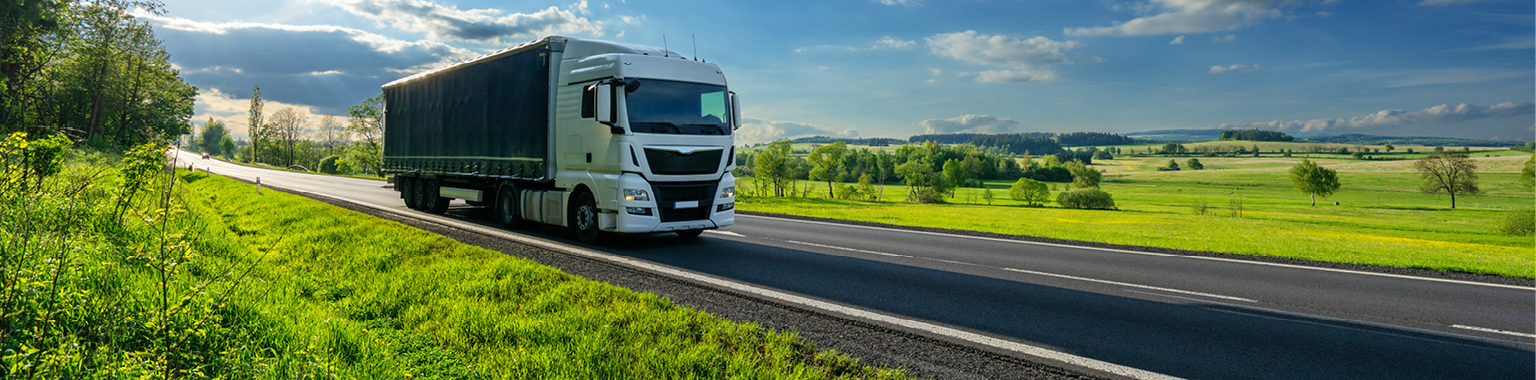 Bluenox Truck on road